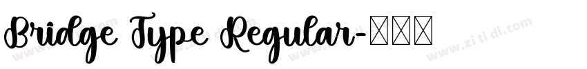 Bridge Type Regular字体转换